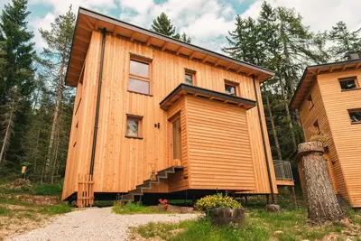 Image de Chalet Forêt Felizitas Pino