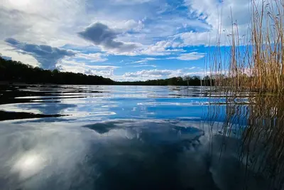 Image de Bungalow mignon sur le lac, - pour se détendre - cadre idyllique