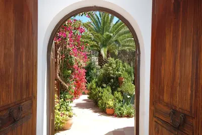 Image de Détente dans un jardin méditerranéen au bord de la grande piscine privée