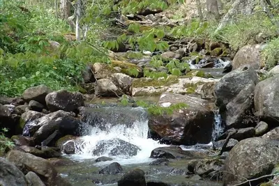 Image de Laurel Creek Cottage -Creekside / Near Roan Mountain (le tarif inclut les frais de ménage)