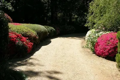 Image de Koonawarra | Mt Wilson | 24 hectares de jardins botaniques du patrimoine établi