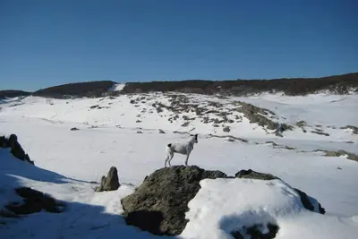 Image de Talbingo, Snowy Mountains Nsw.