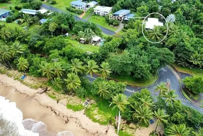 Image de Breeya - Foret de pluie spectaculaire et plage paisible