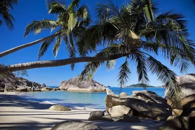 Image de Bedarra Beach House.