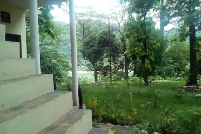 Image de Retraite De Corbett Tiger [CÔTÉ RIVIÈRE, PRÉSENCE Musicale De RIVIÈRE, Faune, Oiseaux]