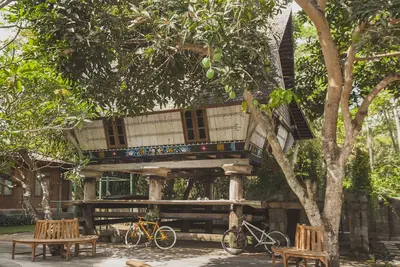 Image de Unique Sumatran Karo House (Tree-House)