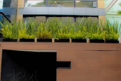 Image de Ciudad de México Polanco
