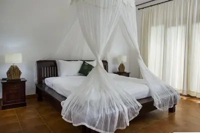 Image de Villas Citrus Tree - Ivoire 2