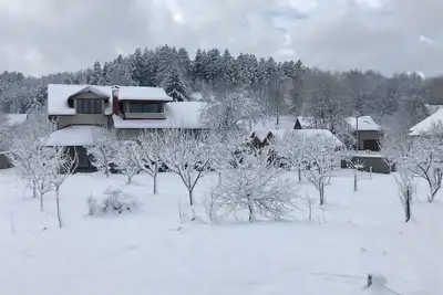Image de Villa de luxe Bobo & Spa