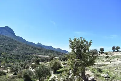Image de Villa familiale privée à Arapkoy