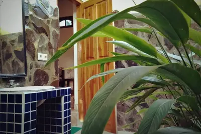 Image de Immense chambre avec salle de bain ouverte donnant sur les rizières
