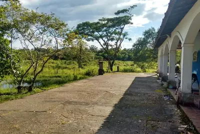 Image de Nature et bien-ĂŞtre