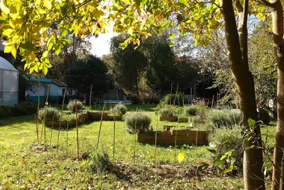 Image de Paix et piscine. Option de jardinage.