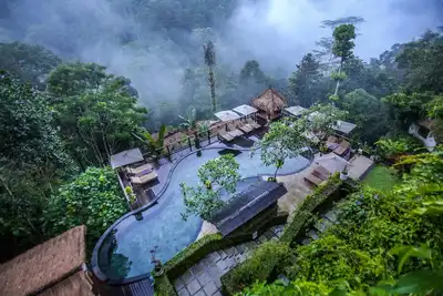 Découvrez une expérience de luxe dans la jungle. . . .