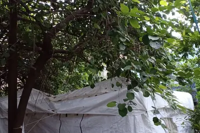Image de Camps de sentier nature et chez l'habitant