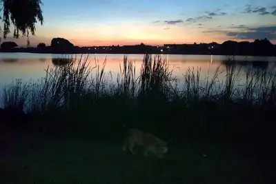 Image de Appartement Spacieux Lodge Lakeside Avec ACCÈS Et Vue Sur Un Parc Et Barrage