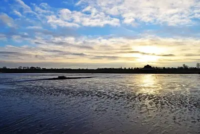 Image de Lugworm près de la plage