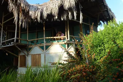 Image de Maison De Bambou dans une végétation tropicale luxuriante