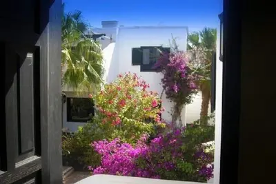 Image de Rêve de jardin tropican près de la plage