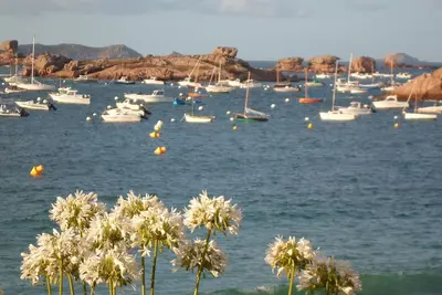 Image de Appartement avec vue spectaculaire sur la mer, terrasse avec accès direct à la plage