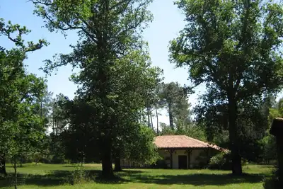 Image de Maison landaise au coeur de la forêt, à 10 mn des plages.