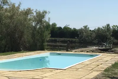 Image de Camargue au bord de l eau