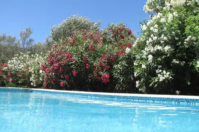 Image de Belle maison 3 chambres Piscine Porto Vecchio plage Carataggio et palombaggia