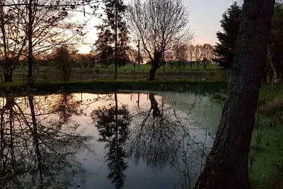Image de Gîte L'eau vive - Le moulin de Charin - Puy du Fou