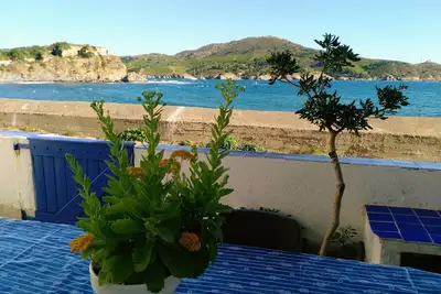 Image de Paulilles Bay rental, nice one-storey house, terrace facing the ocean