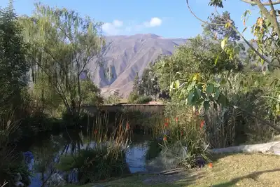 Image de Oasis 1 Valle Sagrado
