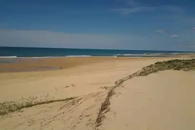 Image de Chalet confortable, grande terrasse Ă 4 km de L'ocean dans la fĂ´ret landaise