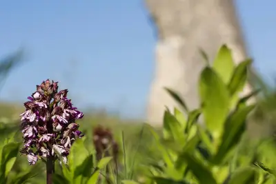 Image de Insolite troglodytede charme