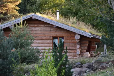 Image de \"Epicéa\" : gîte insolite en rondins au coeur de la nature Auvergnate