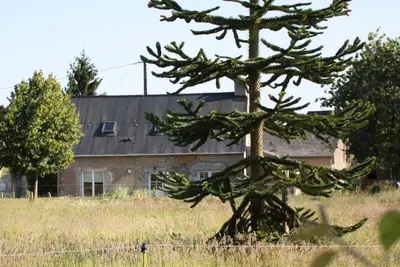 Image de Gîte 6/8 pers. Jupilles, 50m zoo de la Flèche, 30mn du Mans, forêt de Bercé. . .