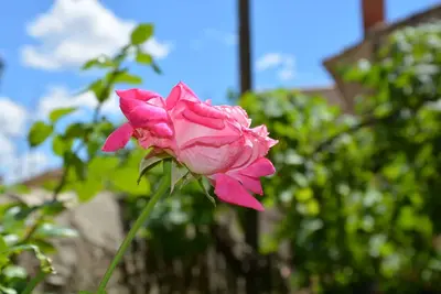 Image de Jolie maison de village tte équipée avec terrasse et clim. Pour 6 pers.