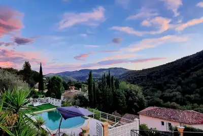 Image de Calme absolu au pays du mimosa