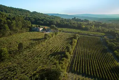 Image de Gîte du Vignoble Château Saint Pons dans le parc Naturel du Luberon