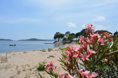 Image de Duplex 5 personnes, 500m de la plage dans résidence avec piscine