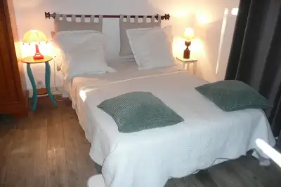 Image de cosy flat centre Saumur belle vue château