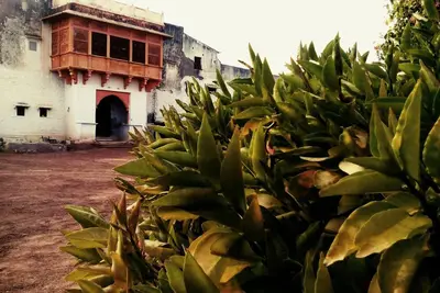 Image de Séjour au château de village au milieu du désert