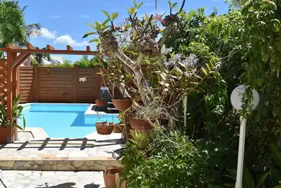 Image de Gite Des Orchidees Sainte Anne