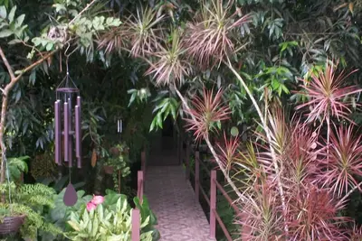 Image de Inlakech: tropical, magique et charme