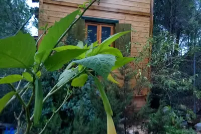 Image de Maison de poupée en bois Porto Heli