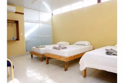 Chambre 3-C - 3 lits simples