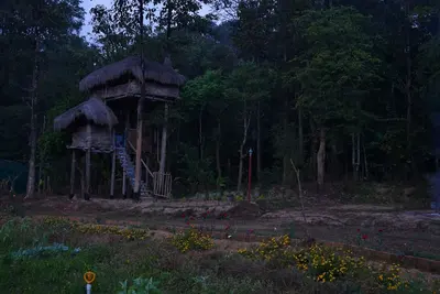 Image de Zyamadhari - The Far & Away