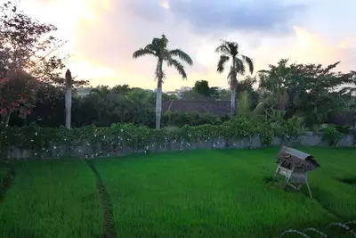 Image de Villa tropicale de Bali avec vue sur la rizière