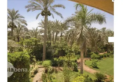 Image de Spacieuse villa luxueuse à 1 200 mètres de la pyramide de Sakkara (Djéser)