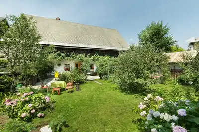 Image de Maison, jardin et un chat vert