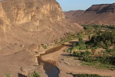 Image de Chambre d’hôte à l'oasis de Fint