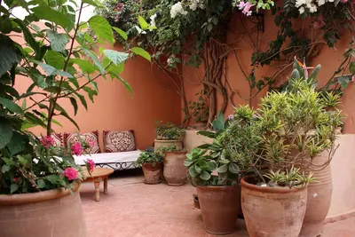 Image de Grande maison et beau jardin au centre de Mirleft